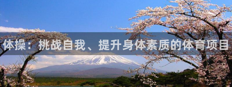 3377体育官方正版app集团官网网址:体操:挑战自我、提升