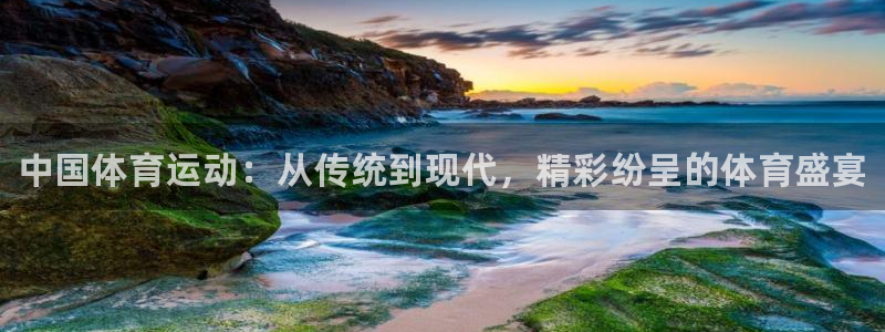3377体育官网下载平台注册要钱吗是真的吗:中国体育运动:从