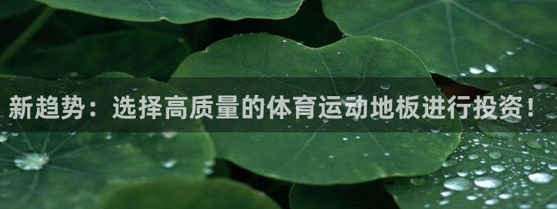 3377体育官网下载招商电话地址查询:新趋势:选择高质量的体
